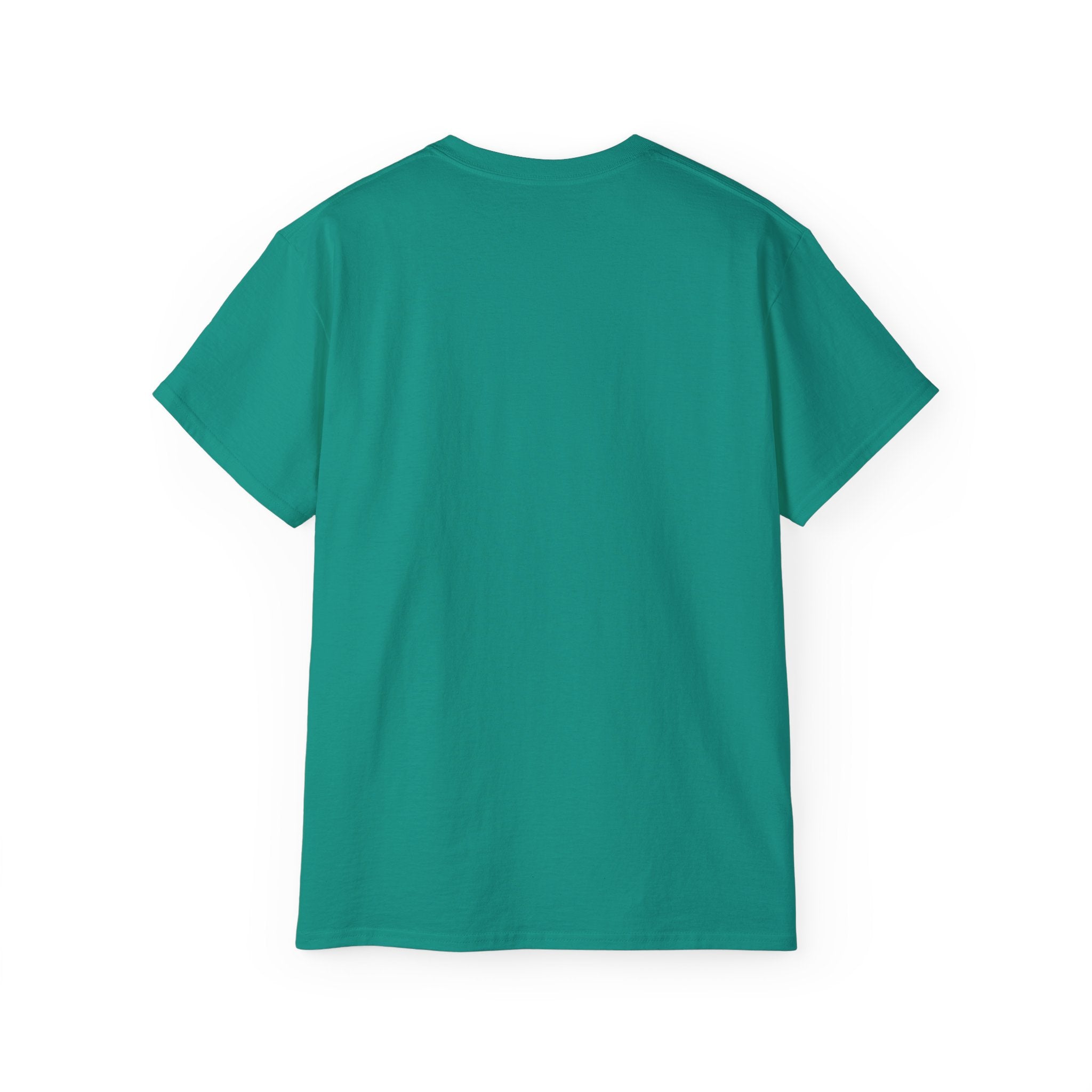 Christian T-Shirt "Follow The Leader → Jesus" – Faith Graphic Tee